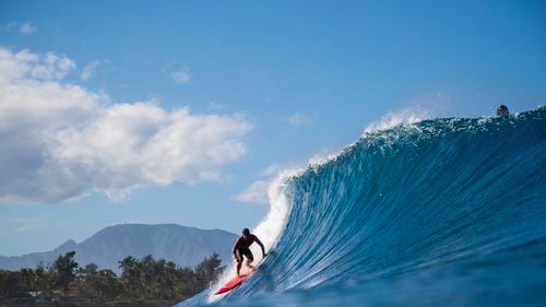 Star din Pirații din Caraibe, ucis în urma unui atac de rechin în timp ce făcea surfing în Hawaii