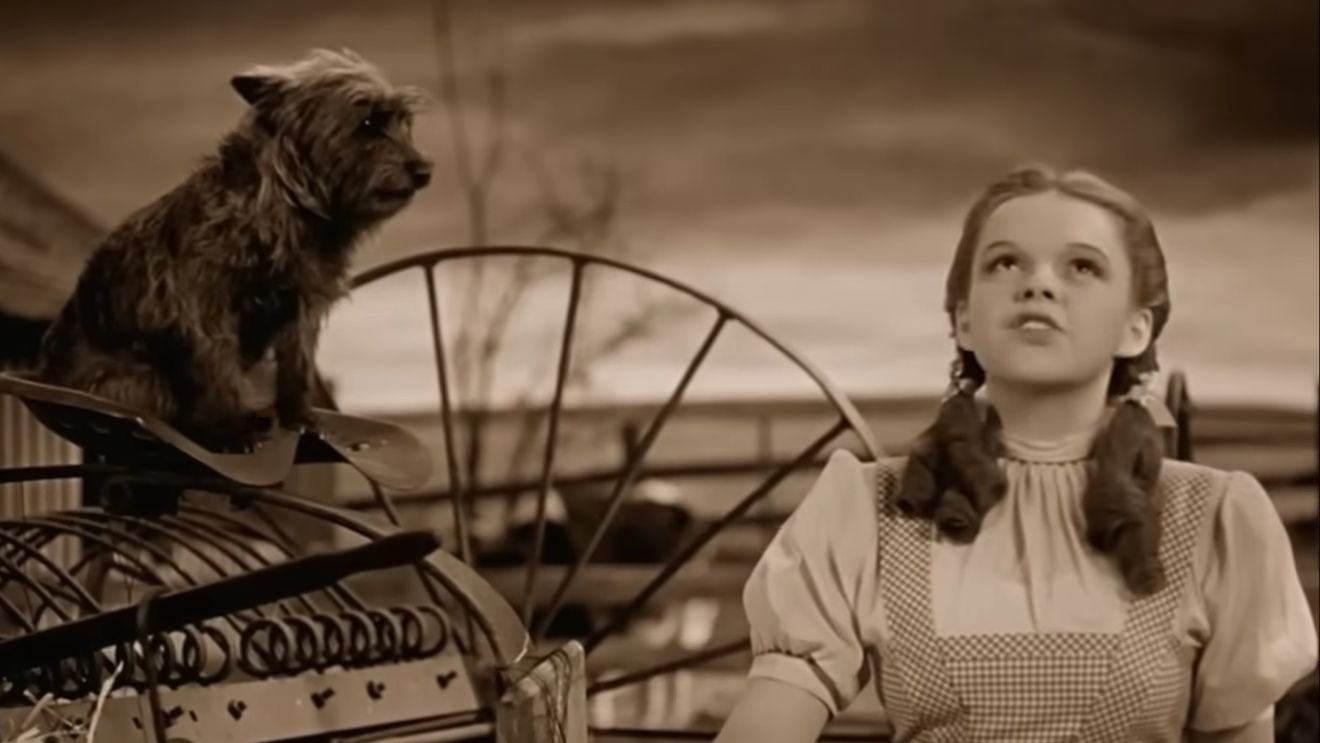 FOTO Pantofii purtaţi de Judy Garland în „Vrăjitorul din Oz”, vânduţi la licitaţie pentru 28 de milioane de dolari
