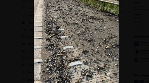 Haos pe una dintre cele mai aglomerate autostrăzi din Australia: peste 300 de maşini s-au ales cu cauciucurile deteriorate / 750 de kilograme de resturi metalice ascuţite au căzut dintr-un camion / Se intervine cu magneţi