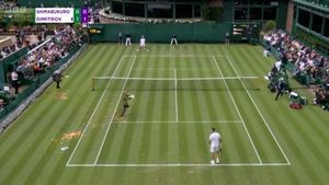 Activiștii de mediu au întrerupt un meci de la turneul de tenis de la Wimbledon. Protest cu confetti și piese de puzzle