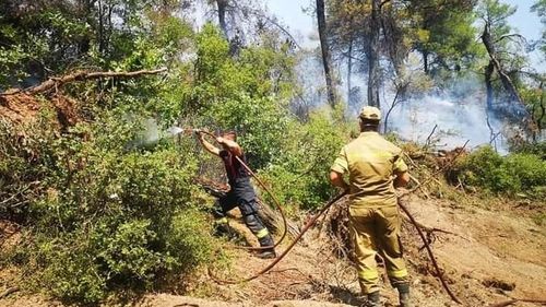 Premierul Greciei, Kyriakos Mitsotakis, i-a mulțumit președintelui Klaus Iohannis pentru sprijinul dat de pompierii români în lupta cu incendiile