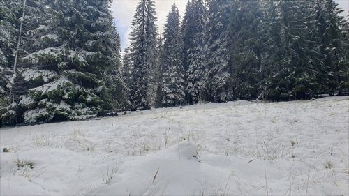 Cod portocaliu de precipitaţii abundente în Prahova, Buzău, Vrancea şi în zona montană din judeţul Dâmboviţa / Va ploua, iar la altitudini de peste o mie de metri va ninge