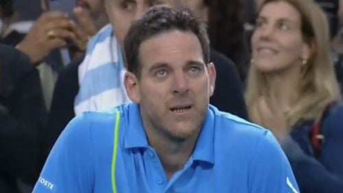 VIDEO Emoționant: Juan Martin Del Potro, în lacrimi la retragerea din tenis - Novak Djokovic i-a fost alături