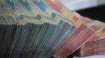 Document: Teren cumpărat de 16 ori mai scump din banii Nuclearelectrica / Cum a fost „evaporată” protecția statului în proiectul SMR / Raportul Corpului de Control al Premierului  