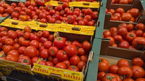 România, cel mai mare importator european al roșiilor din Turcia / Tomatele turcești, cele mai multe probe cu pesticide