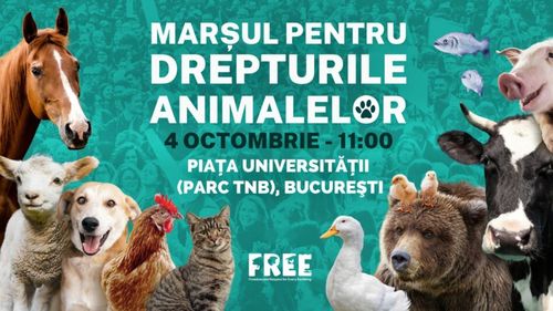 Marșul pentru Drepturile Animalelor: Fii vocea lor pe 4 octombrie, de Ziua Internațională a Animalelor