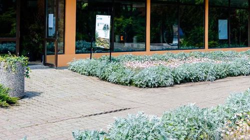 Evenimentul de Paşte „Tradiţii şi Flori de Sărbători” începe pe 12 aprilie, în Parcul Regele Mihai I din București