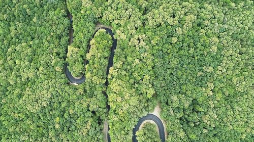 FOTO Județele Prahova și Buzău vor fi legate de o șosea spectaculoasă / Drumul a DJ 102C Cislău - Buda Crăciunești – Prahova e aproape finalizat