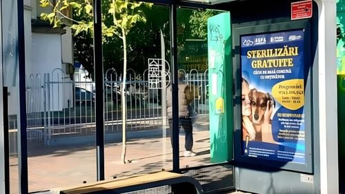 Campanie de informare ASPA în stațiile STB: Amenzi uriașe pentru câinii nesterilizați (FOTO)