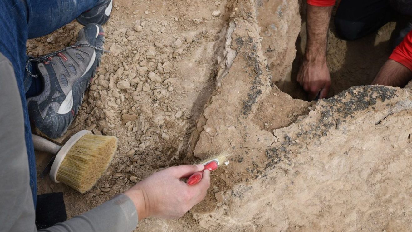 FOTO Vestigiile extrem de rare ale unei bărci sumeriene, ce datează din mileniul al II-lea î.e.n., au fost descoperite de cercetători germani şi irakieni în situl mesopotamian Uruk