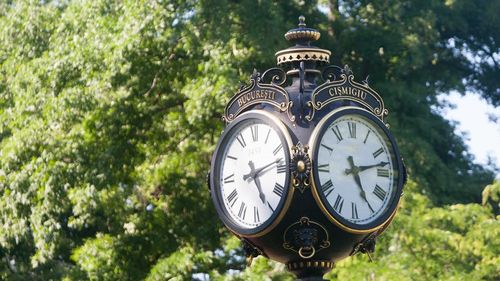 Firea, despre scandalul reabilitării parcului Cișmigiu: Cu cei care mai continuă minciuna cu defrișările și restaurantele, mă voi vedea direct la tribunal