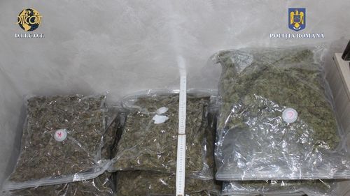Polițiștii din Vrancea au descoperit 15 kilograme de canabis la o firmă de curierat internațional