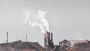 Emisiile de gaze cu efect de seră din industrie au scăzut în 2023 în România, dar cele din gospodării au crescut