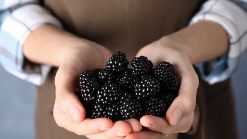 5 fructe cu conținut mare de proteine, care te ajută să slăbești / Jackfruit este o „mină de aur” nutritivă, iar altul e un „superstar” al rețelelor sociale