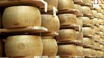 Canicula amenință producția de Parmigiano Reggiano, unul dintre simbolurile Italiei / Temperaturile de peste 40 de grade reduc cantitatea de lapte și cresc costurile unei industrii de 4,5 miliarde de euro