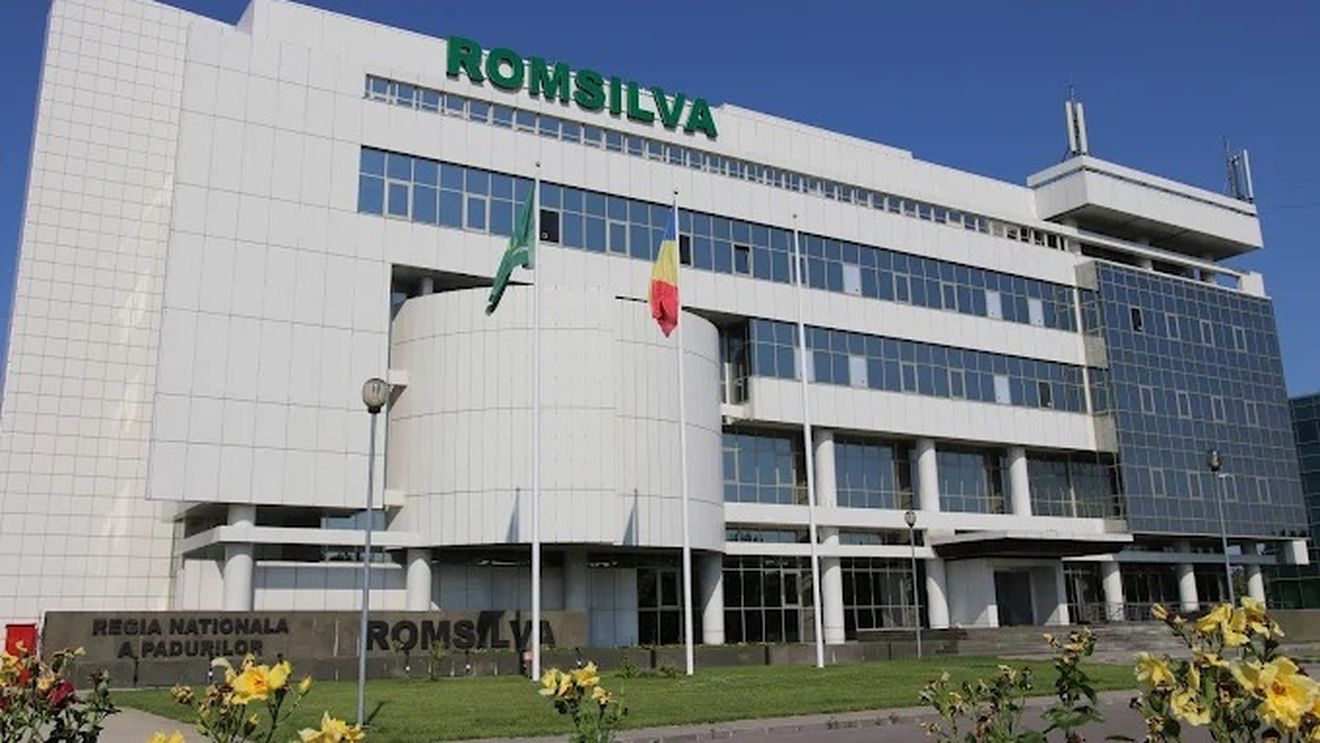 Guvernul a adoptat o ordonanță de urgență prin care creează baza legală pentru funcţionarea şi reorganizarea Romsilva / Măsura este jalon în PNRR