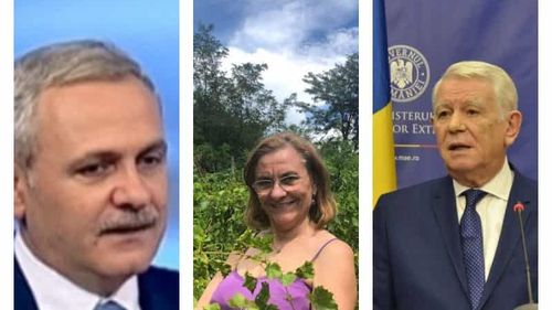 Înjurăturile politicienilor la adresa diasporei și atitudinile ostile față de românii plecați la muncă în străinătate