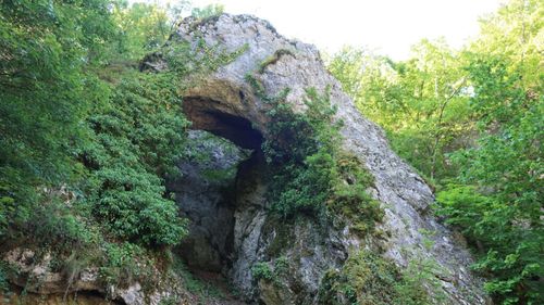 Trei atracții naturale din Bihor au devenit arii protejate, restricții pentru construcții