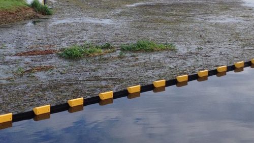 Dispozitive pentru colectarea deşeurilor plutitoare, montate pe râul Mureş, la Reghin / ”Nu blochează nici fauna acvatică, nici deplasarea apei, pur şi simplu reţin ceea ce pluteşte”