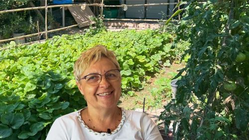 Florina Gogea cultivă legume românești, în Zaragoza, Spania: „Am un rând întreg de leuștean. Îl folosesc la ciorbe. Fără leuștean, parcă nu-i românește”