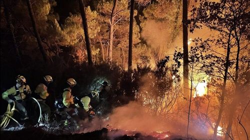 MAE a emis o atenționare de călătorie pentru Spania: Incendiul de vegetație forestieră din Malaga s-a extins / 2.700 de persoane au fost evacuate