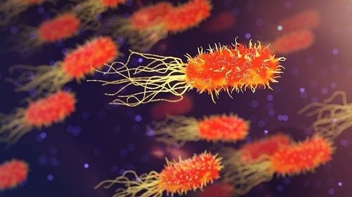 Bacteria legionella se află la originea cazurilor de pneumonie care au ucis într-o săptămână patru persoane în Argentina