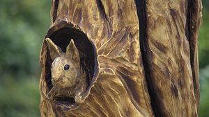 Festivalul Naţional al Sculptorilor cu Drujba la Vaideeni, Vâlcea / ”Am găsit un buştean mare şi mi s-a părut că spune ceva. Am luat drujba şi am început să-l tai şi mi-am făcut un bust”