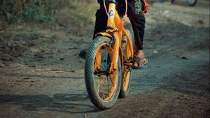 Un copil de 10 ani din Dolj a dispărut după ce a plecat la joacă/ Bicicleta și hainele băiatului au fost găsite pe malul Dunării