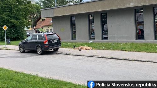 Slovacia: Un fost elev l-a ucis pe directorul adjunct al școlii în care învățase și a rănit alte cel puțin 5 persoane