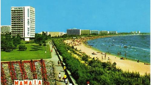 FOTO Pe plaja din Mamaia vor fi plantați copaci, ca în anii `80. Proiect de înverzire a stațiunii
