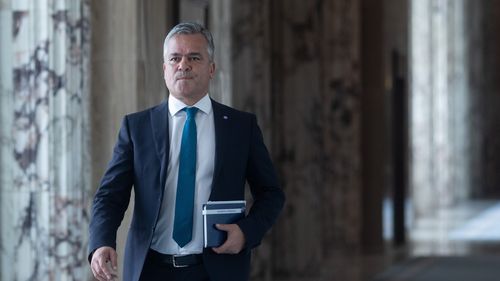 Ministrul Veștea afirmă că 250 de primării au solicitat derogări de la ordonanţa care prevede plafonarea cheltuielilor la sfârşit de an