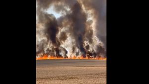 VIDEO Incendiu violent într-un câmp, în județul Timiș