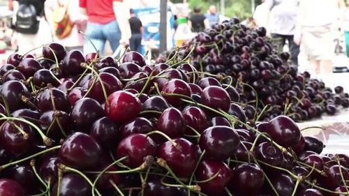 Cireșele se vând cu 180 de lei kilogramul într-o piață din Sibiu / Cât costă kilogramul de căpșuni în Iași