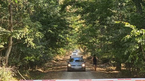 Platforma Civică Împreună pentru Centura Verde solicită ministrului Mediului  respectarea legii şi oprirea, de îndată, a traficului auto în Pădurea Băneasa / Alex Găvan: Mesajul nostru este „Pe aici nu se trece!”