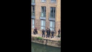 Poliția metropolitană din Londra a împușcat mortal doi câini agresivi și l-a electrocutat pe stăpân, după ce o femeie a fost mutilată într-un atac pe stradă în capitala britanică
