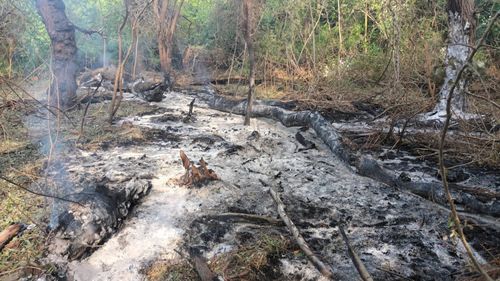 Fragmente de dronă de origine rusă - găsite în apropierea localităţii tulcene Plauru