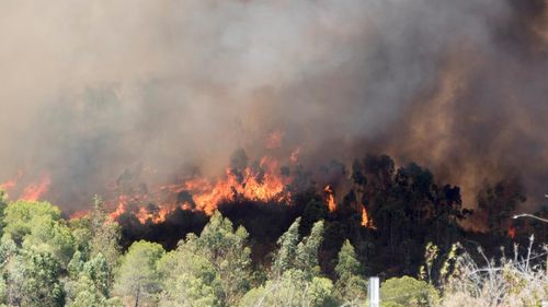 Zeci de incendii de pădure în Albania, afectată de un nou val de căldură / Incendii active în apropiere de stațiunea Saranda