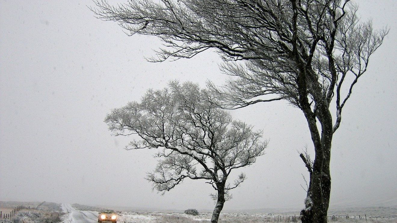 Prahova: Multiple intervenții ale pompierilor, în contextul codului roșu de vânt puternic / Peste 1000 de locuințe, fără curent electric / Două persoane au fost evacuate