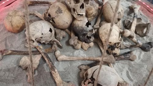 FOTO Fragmente de sarcofag regal, obiecte de cult, ceramică, bijuterii, piese arhitecturale – toate adunate de pe șantierul arheologic de la mănăstirea cisterciană de la Igriș