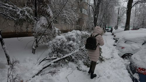 Cod galben de viscol şi vânt puternic în mai multe regiuni din ţară, până miercuri dimineaţa