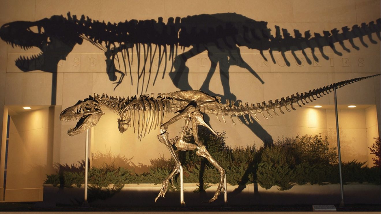 Rămăşiţele unei noi specii de dinozaur, prădător cu o lungime de aproximativ 8-9 metri, descoperite în Kârgâzstan