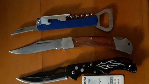 Arme albe în Parlament: Doi bărbați au încercat să intre în clădire cu un box metalic și bricege/ Ambii au calitate de revoluționari