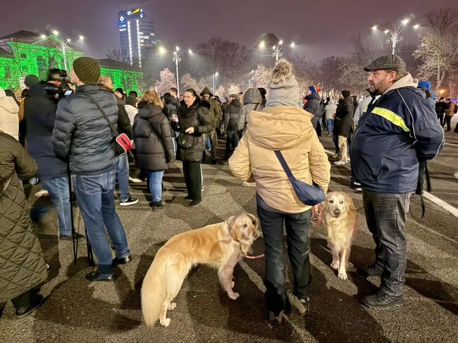 protest justitie