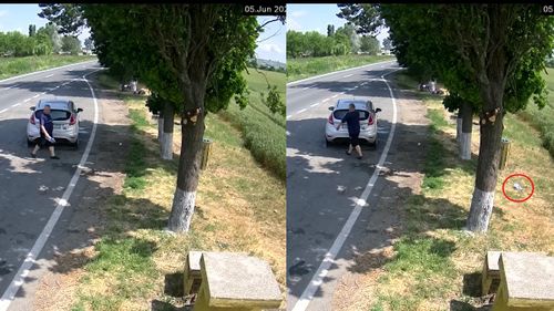 VIDEO Șoferi filmați în timp ce aruncă gunoaie pe drumurile din Bihor, amendați cu 30.000 de lei