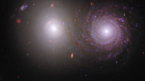 Astronomii au observat o stea pitică albă care generează o undă de şoc neobişnuită, plină de culoare / Steaua preia gaze fierbinţi de la o altă, aflată la o distanţă relativ mică
