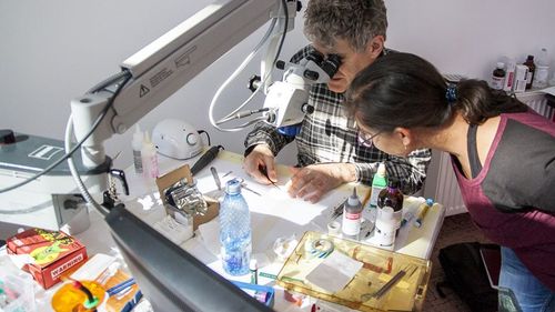 Un start-up românesc a câștigat o finanțare europeană pentru un proiect de cercetare în domeniul neuroștiinței