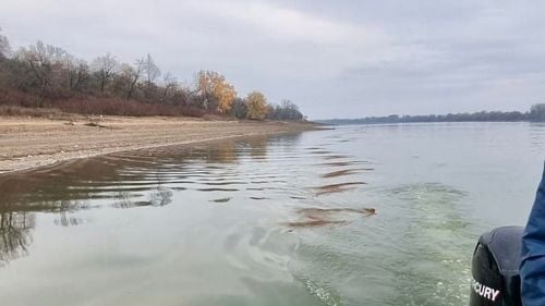 Caz de sinucidere în grup: Mamă, fiică și ginere au intrat voluntar în Dunăre/ Două persoane au murit/ Cei trei au mai avut tentativă de sinucidere după ce au fost dați afară din locuințele sociale