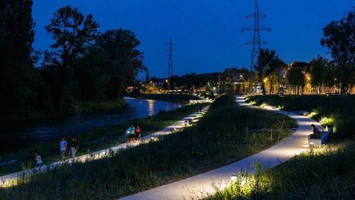 Pericol semnalat la Cluj, din cauza copacilor plantați pe malul Someșului / Frasinii vor ajunge până la liniile de înaltă tensiune / ”Dacă vine un copil peste 5 – 10 ani și prinde copacul, ceața ‘trage’ în liniile de înaltă tensiune și se vor întâmpla tragedii”