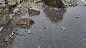 Trafic blocat pe DN7, la Călimănești, pe sensul Sibiu – Râmnicu Vâlcea, în urma căderilor de pământ şi arbuşti