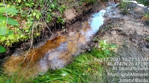 Amendă de 40.000 de lei pentru poluare cu petrol lângă Moinești